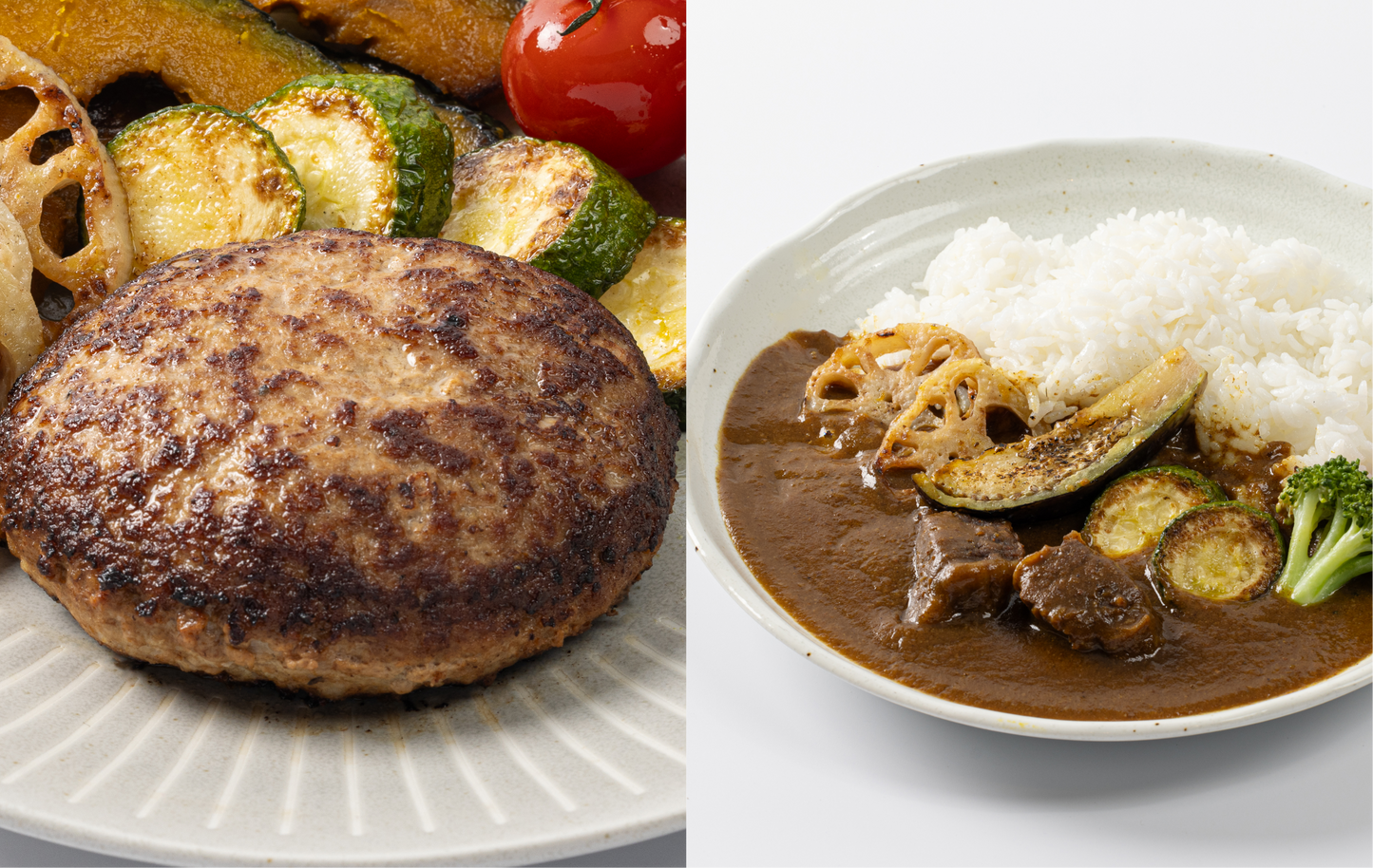 ハンバーグとカレー たっぷり詰め合わせ